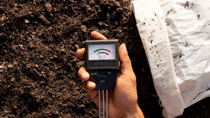 Handheld soil meter probe inserted into the ground